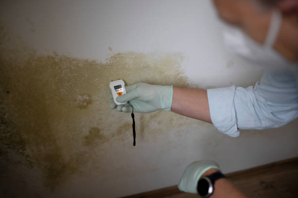Best Mold Testing  in Choteau, MT