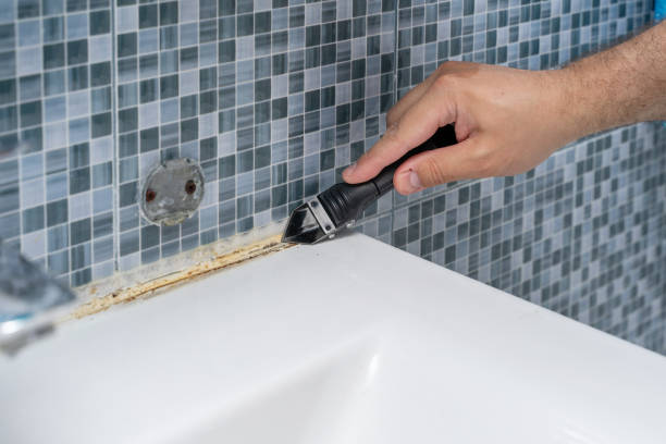 Best Office Mold Removal Services  in Choteau, MT